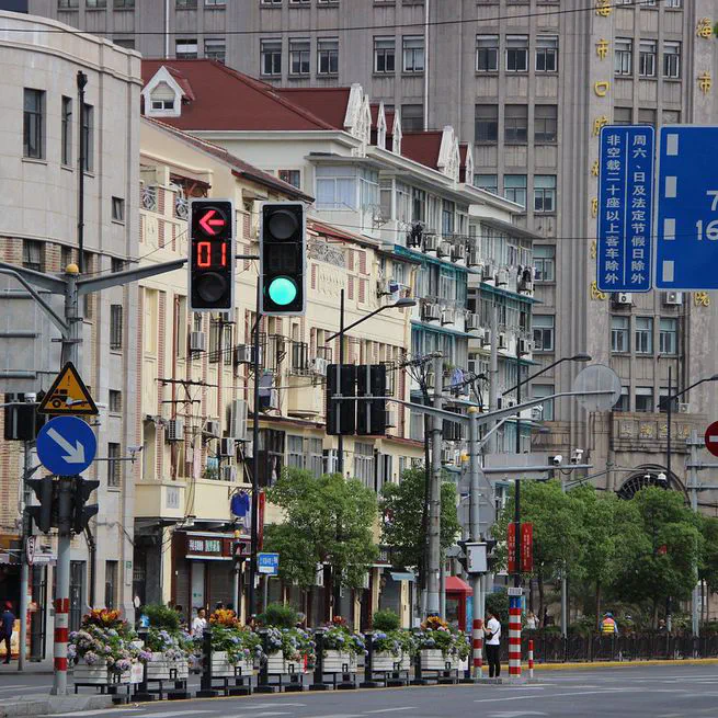 Understanding Human Mobility Patterns under a Public Health Emergency